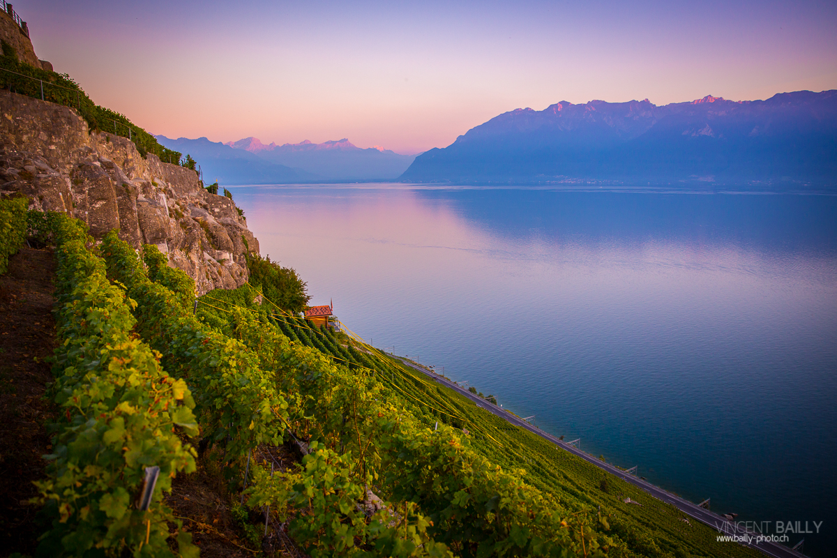 23092013_lavaux_vignes_vincentbailly-20