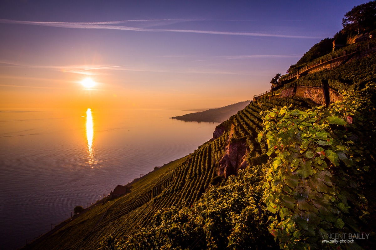 23092013_lavaux_vignes_vincentbailly-4