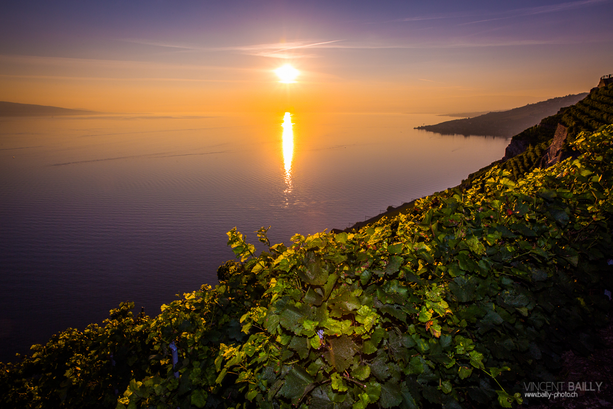 23092013_lavaux_vignes_vincentbailly-9