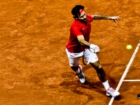11022012_cup_davis_chvsusa-08