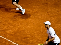 11022012_cup_davis_chvsusa-27