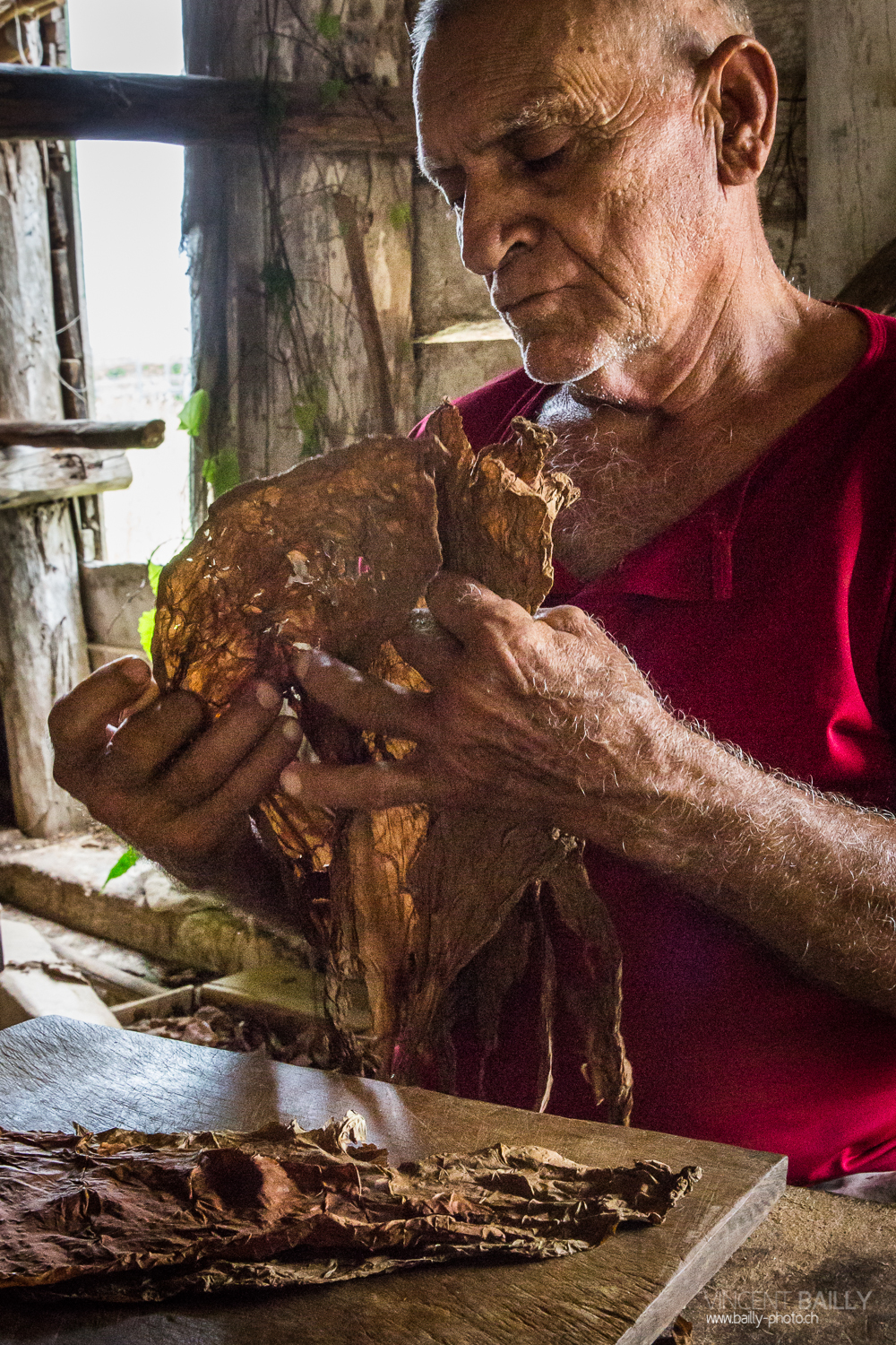 cuba2014_vb_cigarescubains-11