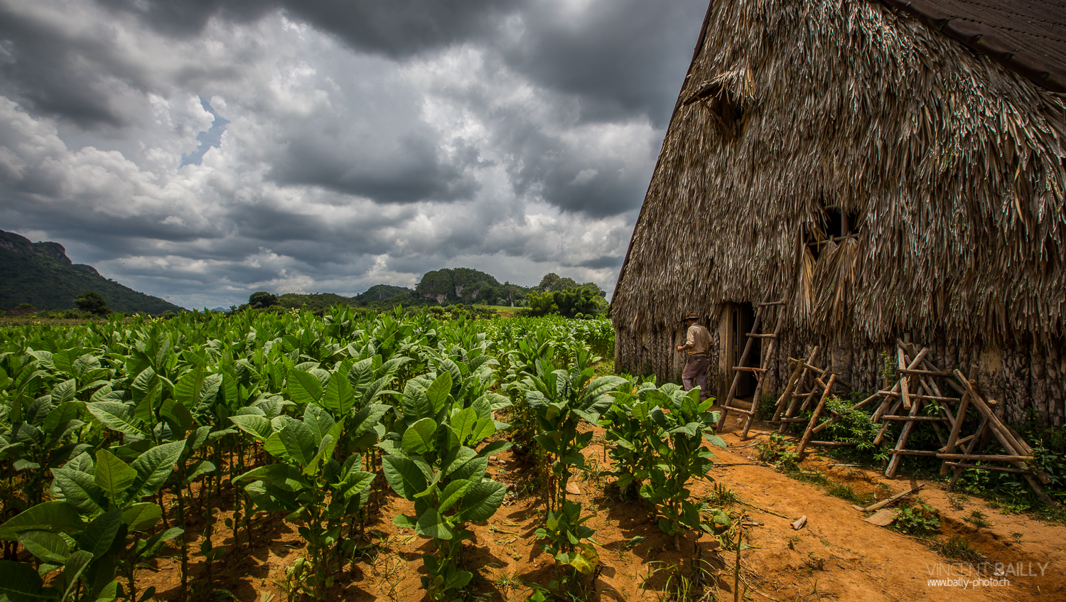 cuba2014_vb_cigarescubains-4