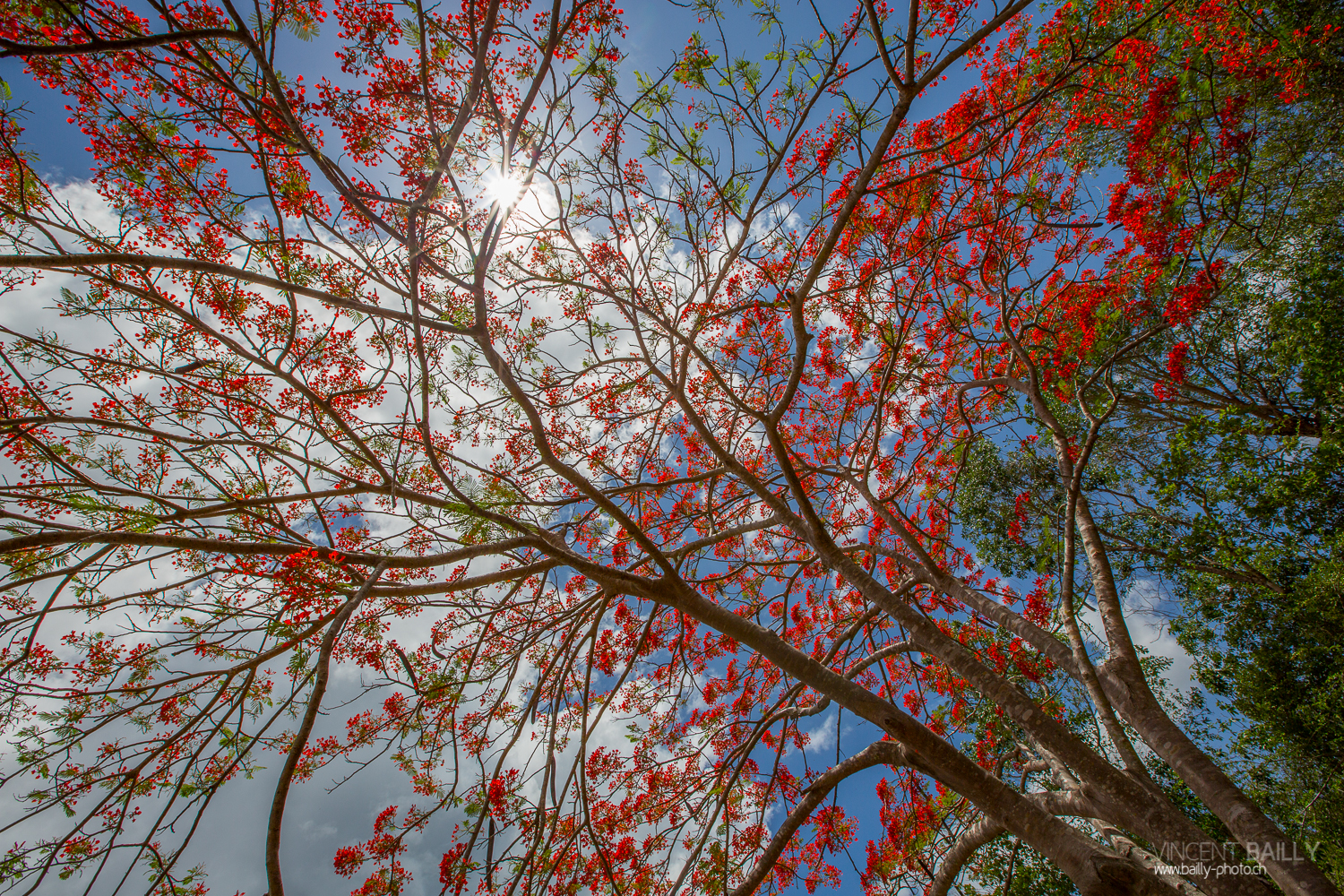 cuba2014_vb_baiedescochons-2