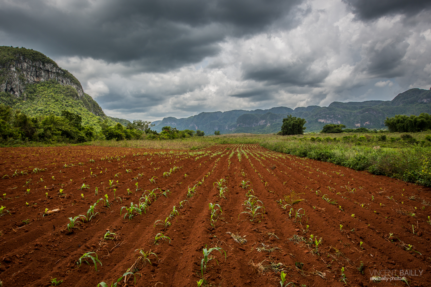 cuba2014_vb_vinales-2