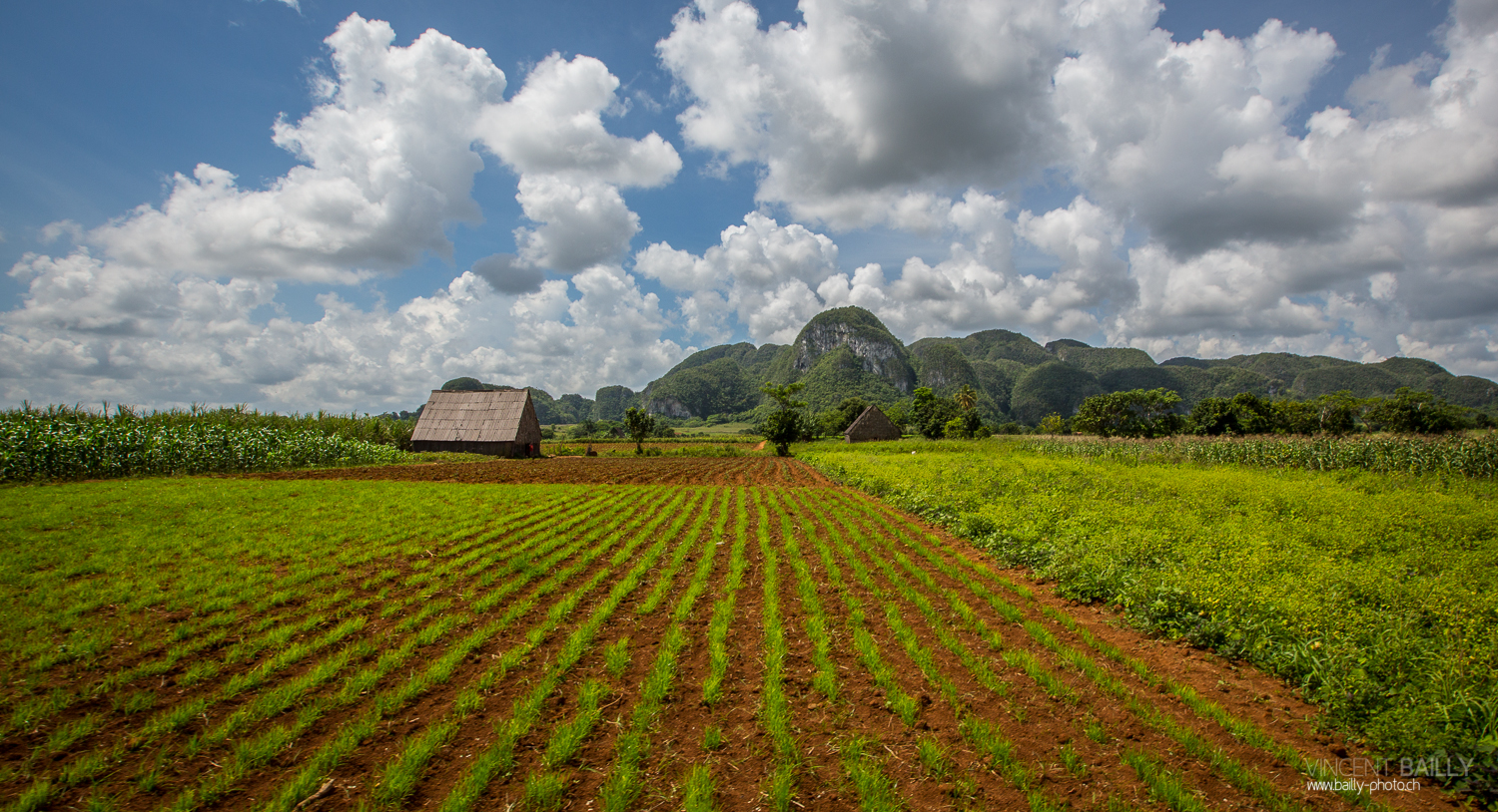 cuba2014_vb_vinales-4