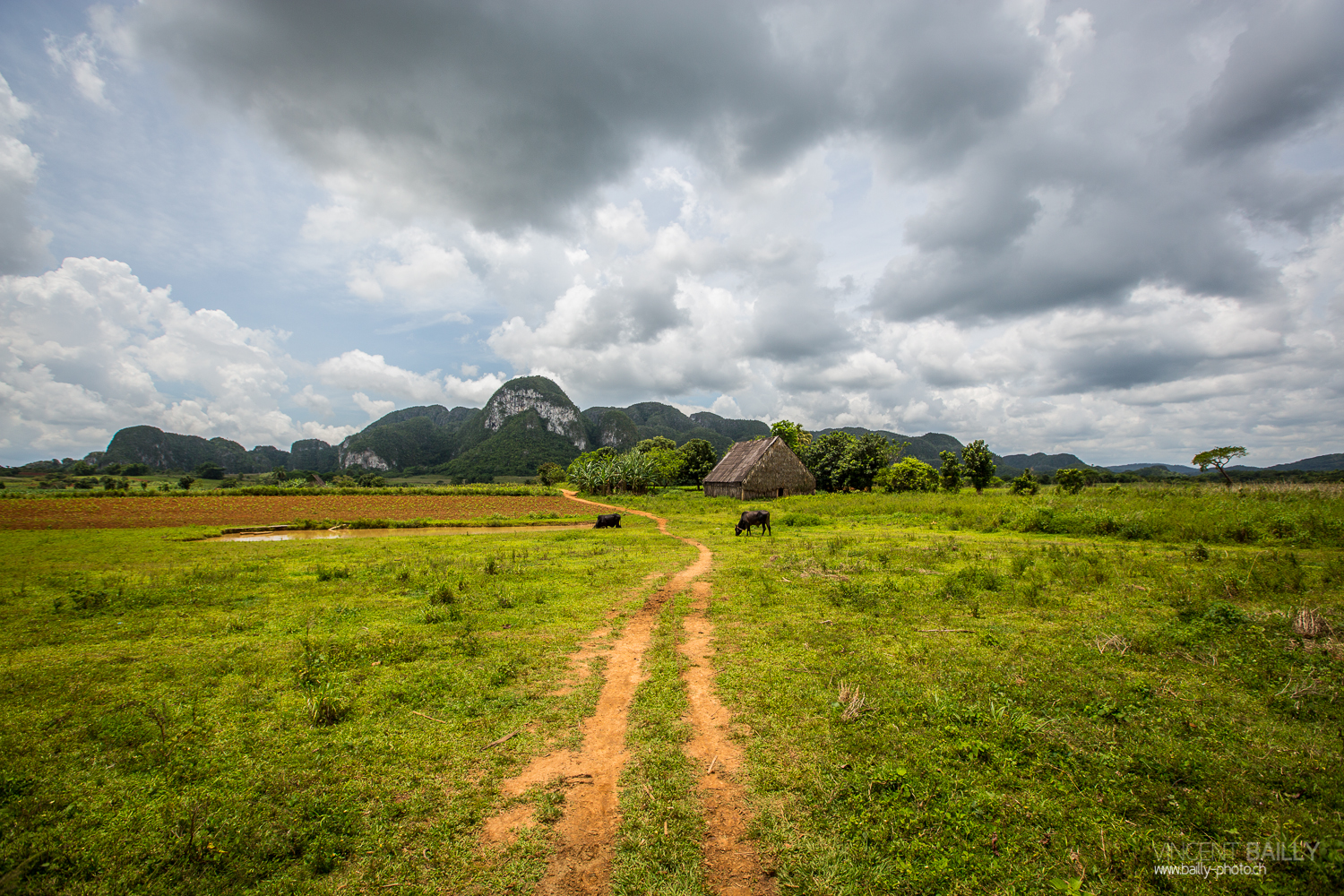 cuba2014_vb_vinales-6