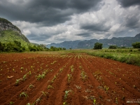 cuba2014_vb_vinales-2