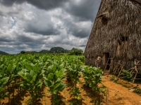 cuba2014_vb_vinales-3