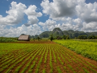 cuba2014_vb_vinales-4