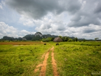 cuba2014_vb_vinales-6