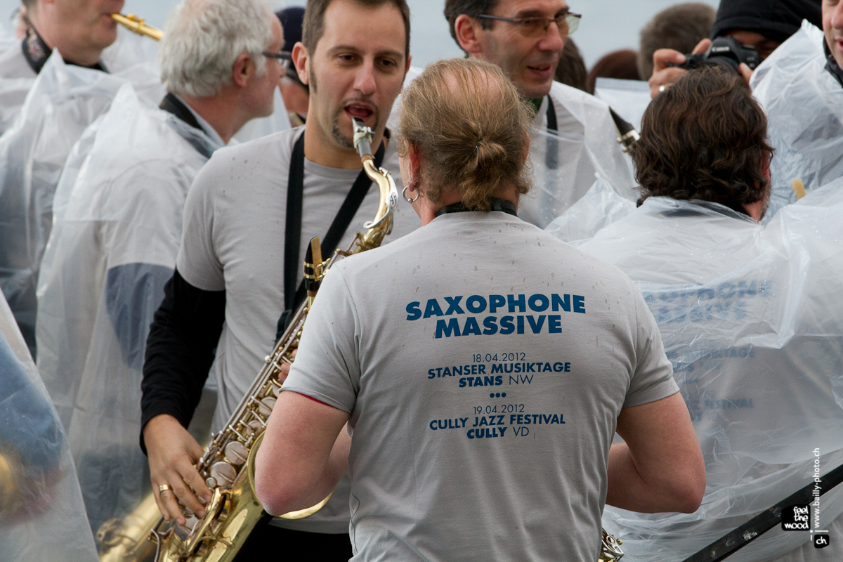 cullyjazzfestival2012_rvb-58