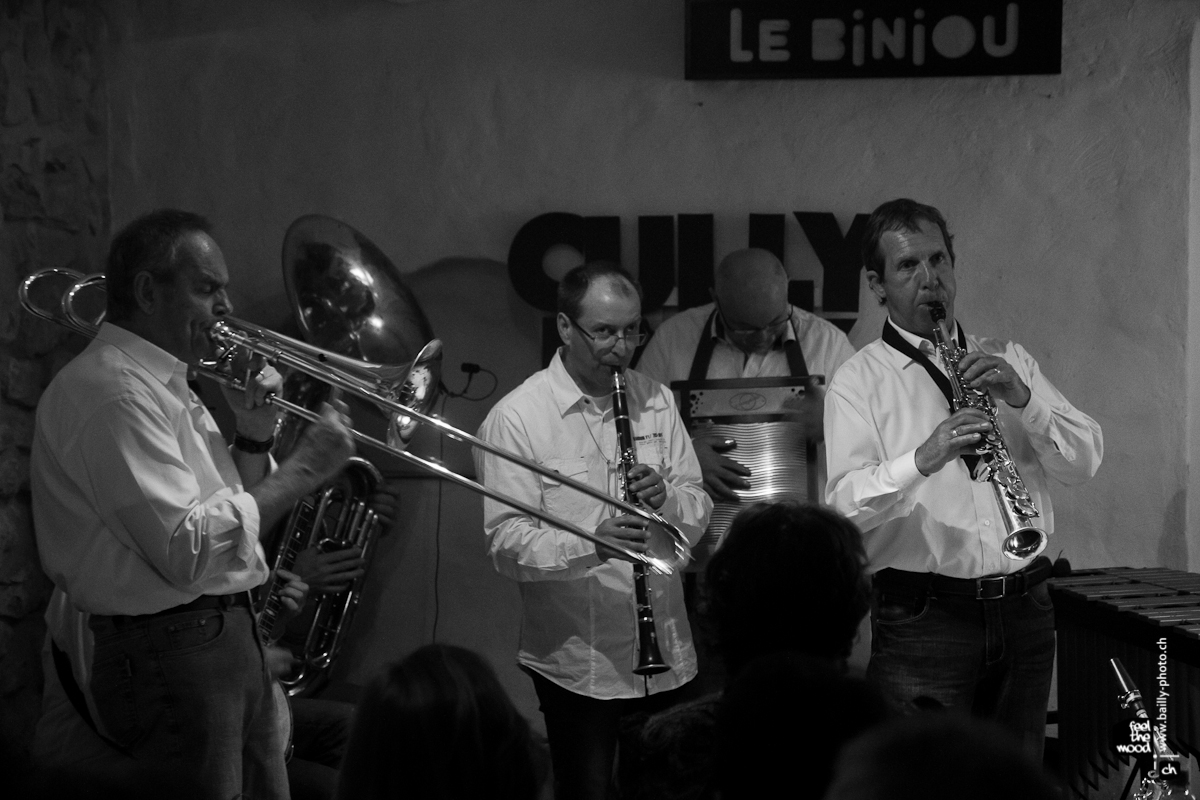 cullyjazzfestival2012_bw-21