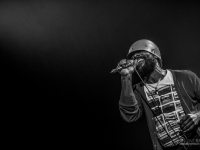 cjf2014_codychesnutt_vincentbailly_web-3