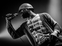 cjf2014_codychesnutt_vincentbailly_web-5