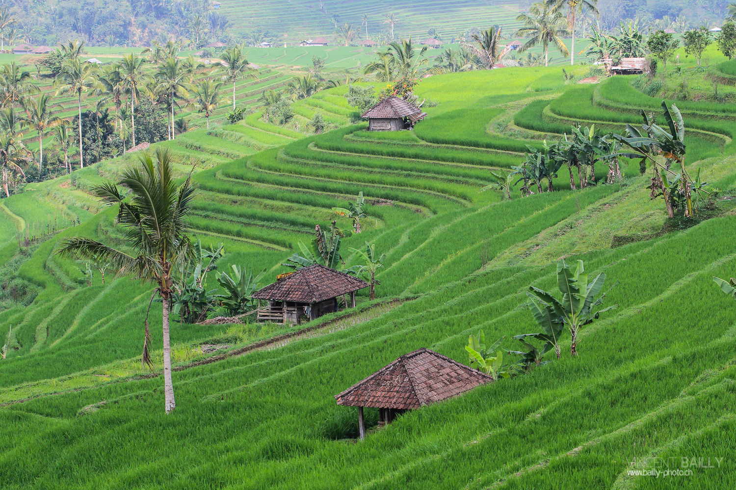 indonesie_2011_paysages-07