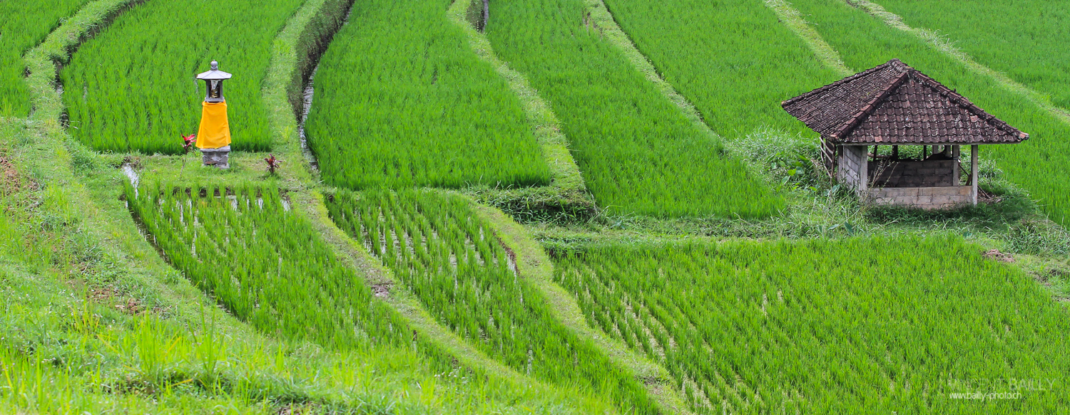 indonesie_2011_paysages-08