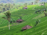 indonesie_2011_paysages-07