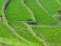 indonesie_2011_paysages-08