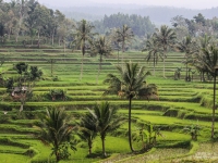 indonesie_2011_paysages-09