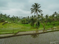 indonesie_2011_paysages-10