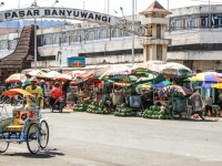 indonesie_2011_population-40