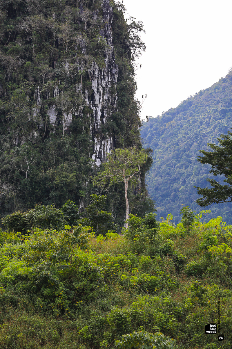 laos_2012_landscapes-20