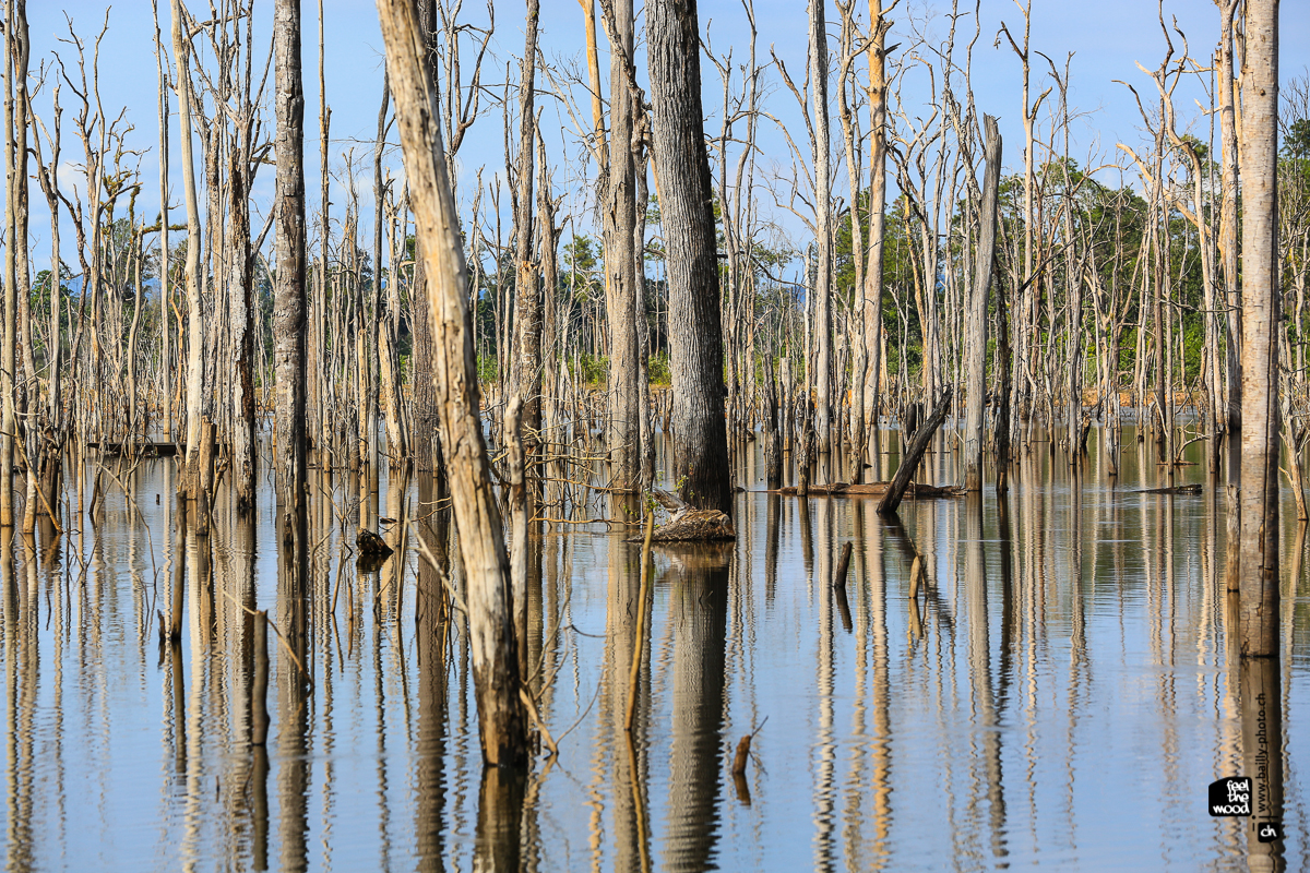 laos_2012_landscapes-37