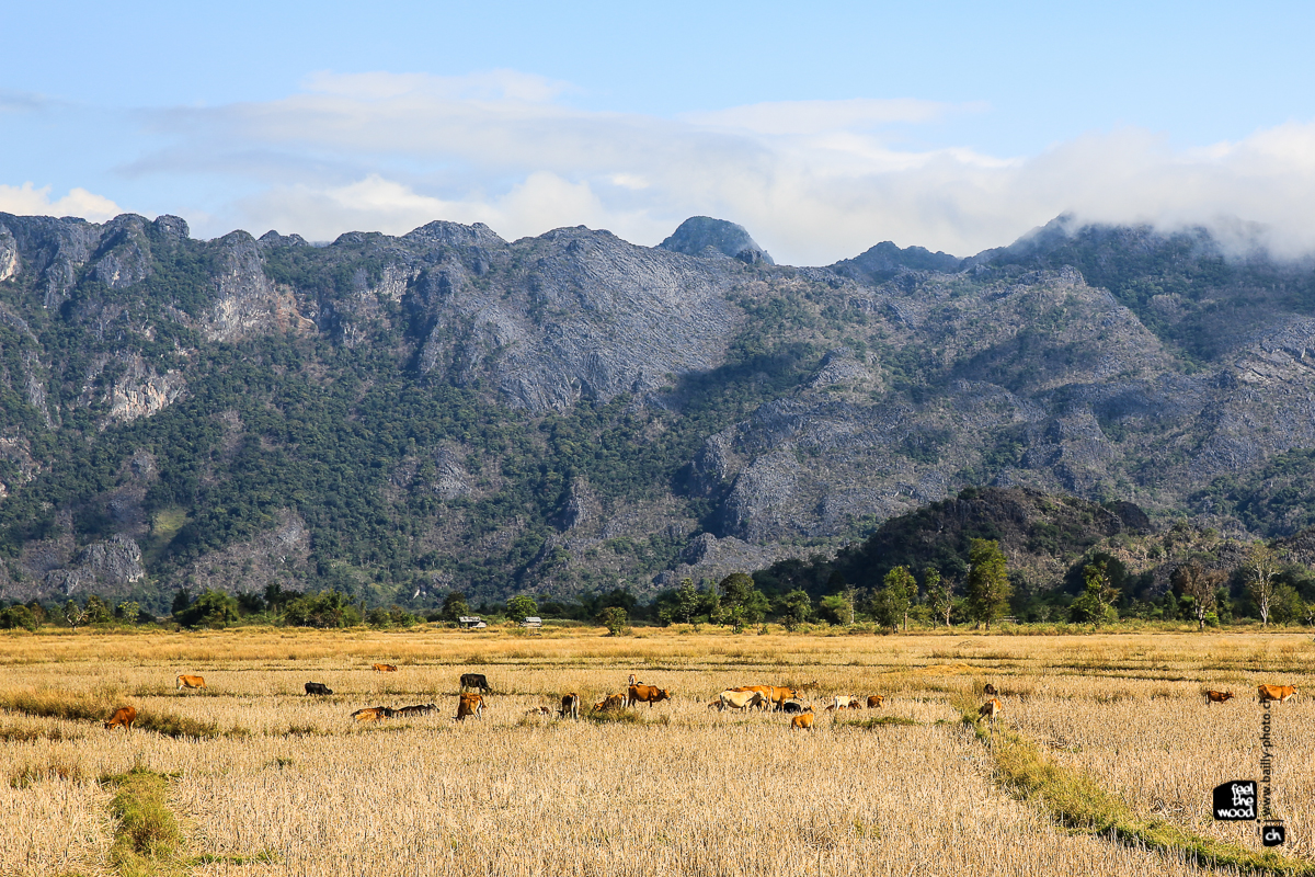 laos_2012_landscapes-50