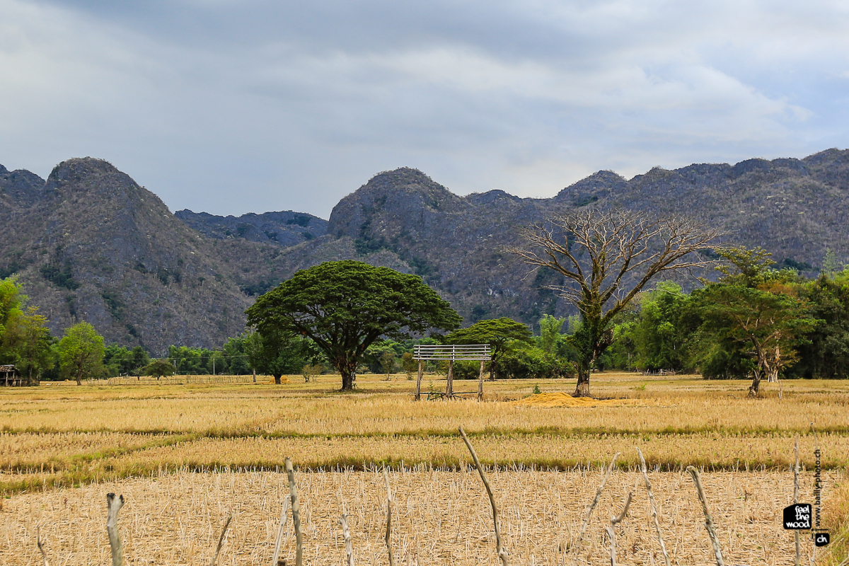 laos_2012_landscapes-55