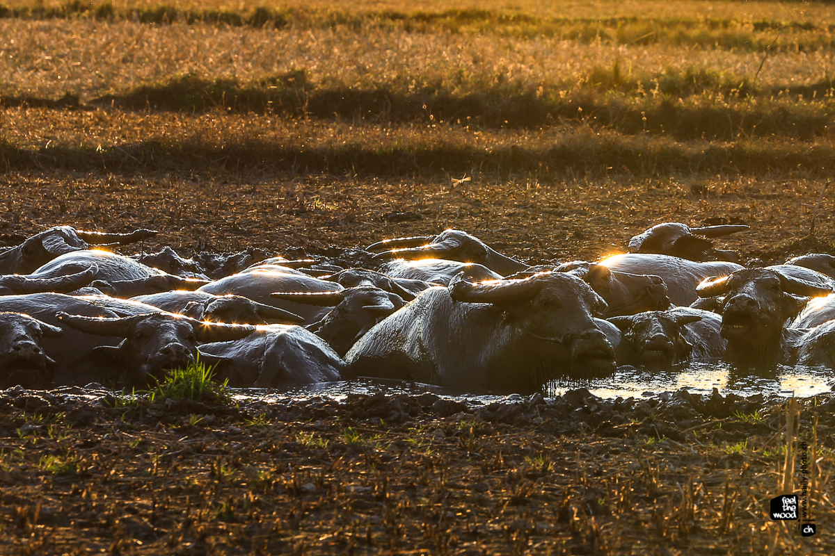 laos_2012_landscapes-56