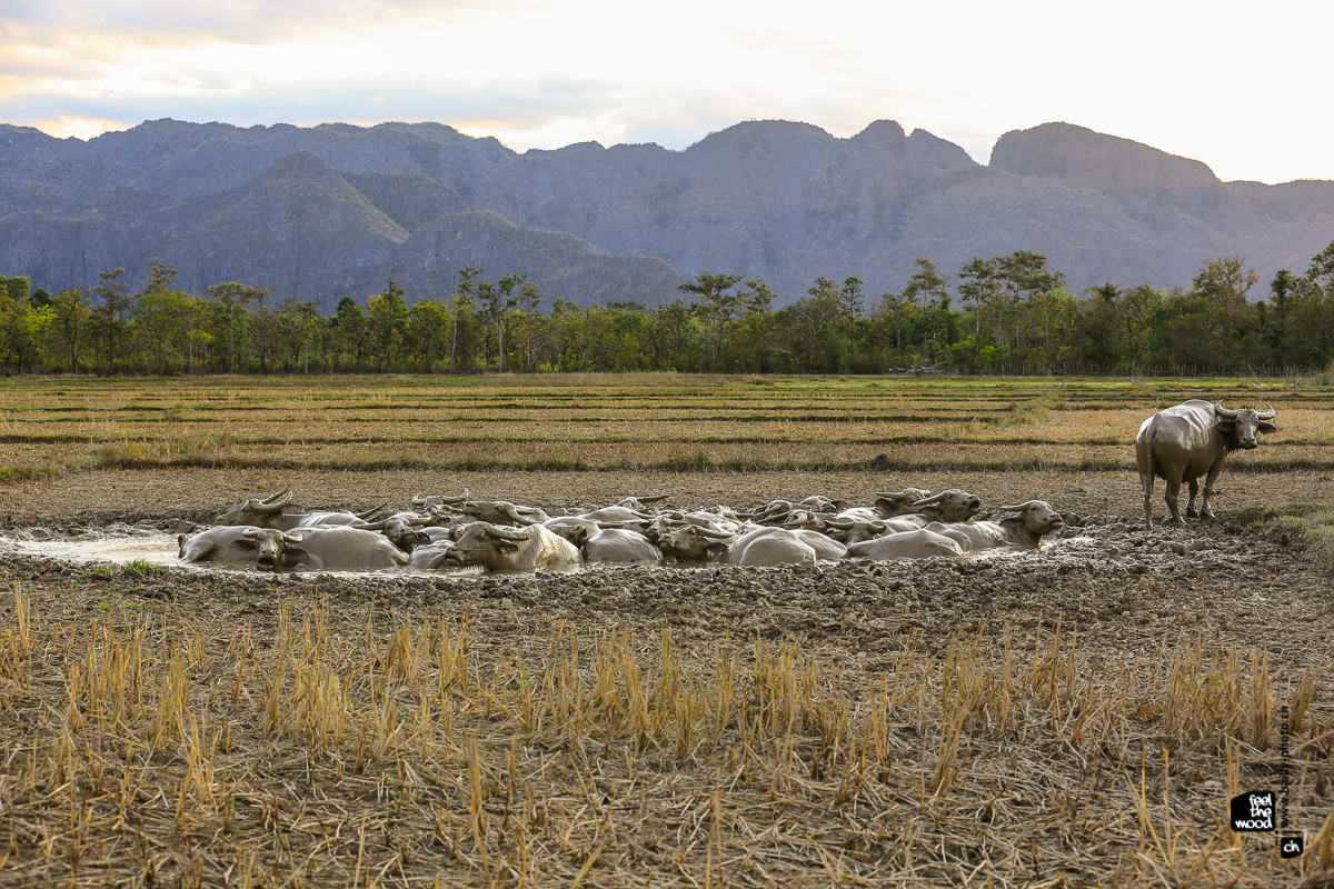 laos_2012_landscapes-58