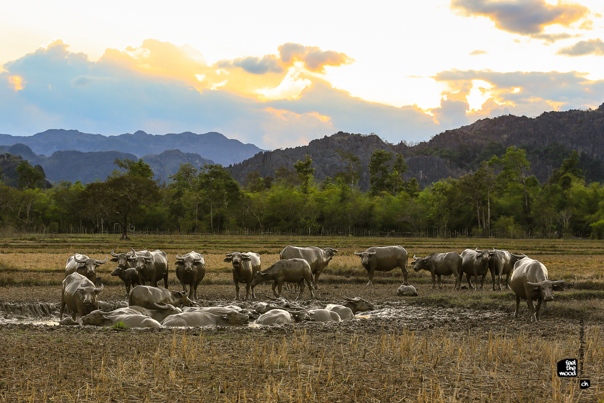 laos_2012_landscapes-59