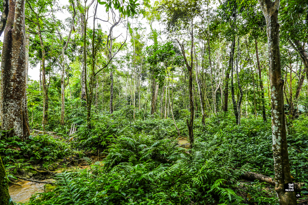 laos_2012_landscapes-6