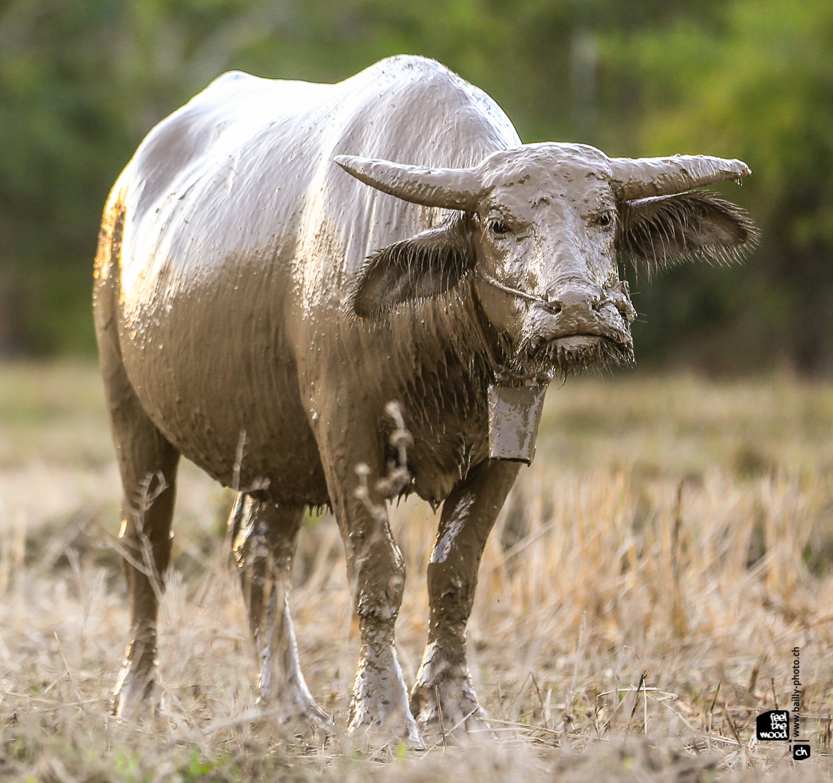 laos_2012_landscapes-60