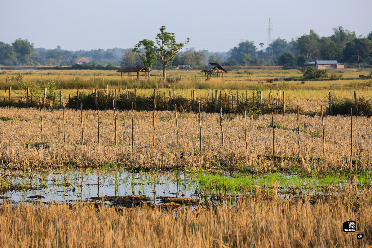 laos_2012_landscapes-62