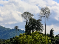 laos_2012_landscapes-25