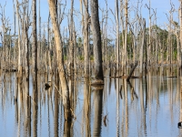 laos_2012_landscapes-37