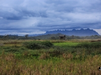 laos_2012_landscapes-41