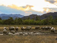 laos_2012_landscapes-59