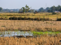 laos_2012_landscapes-62