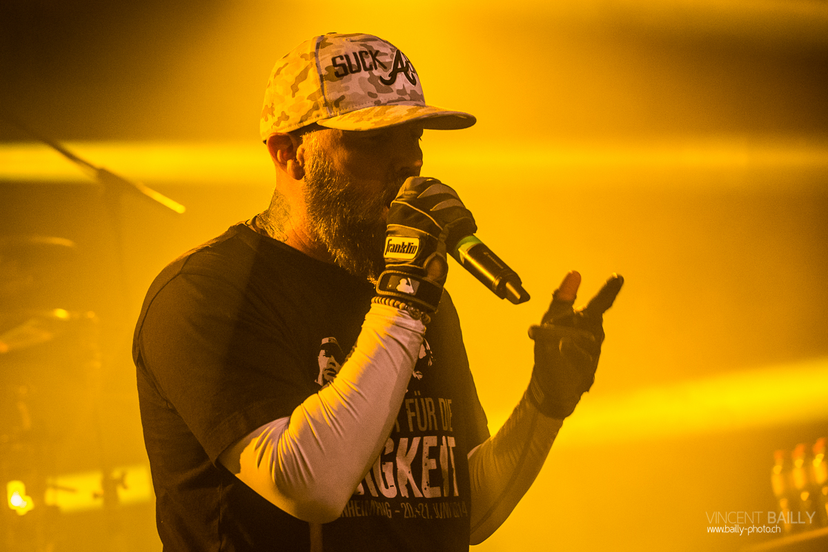 01072014_lesdocks_limpbizkit_vb-13