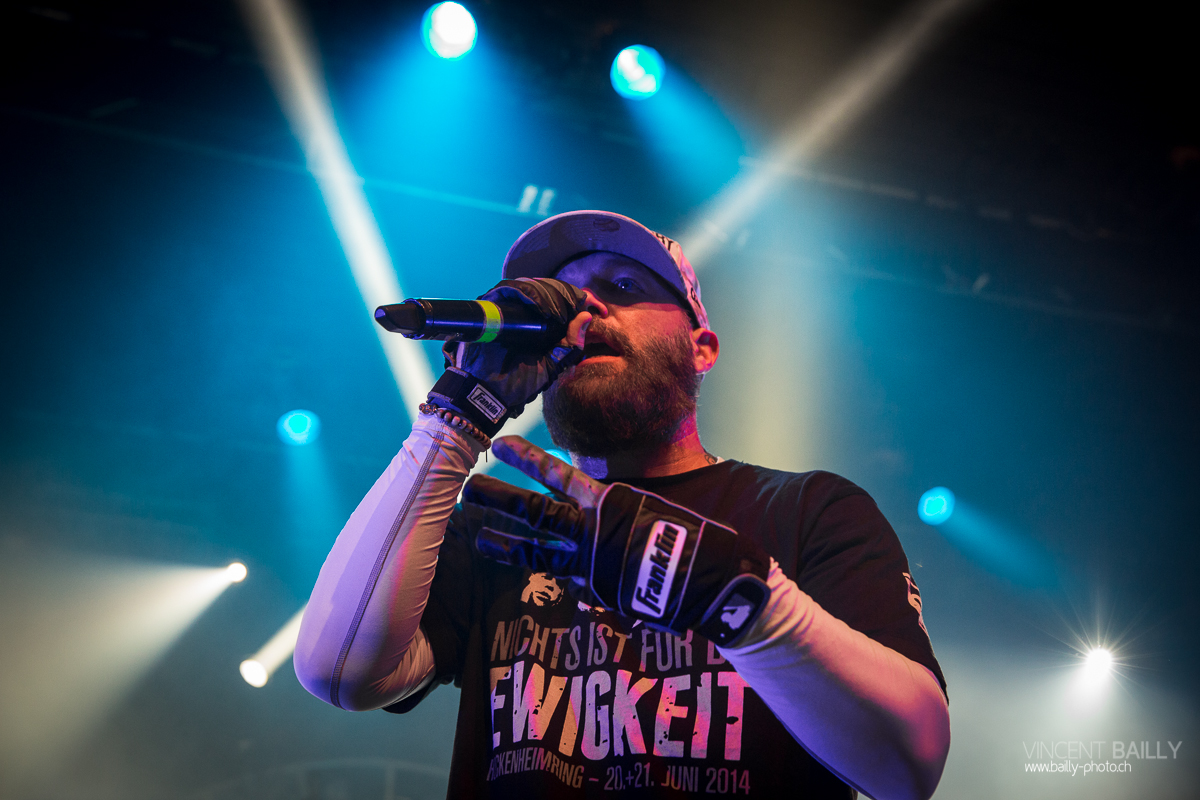 01072014_lesdocks_limpbizkit_vb-18