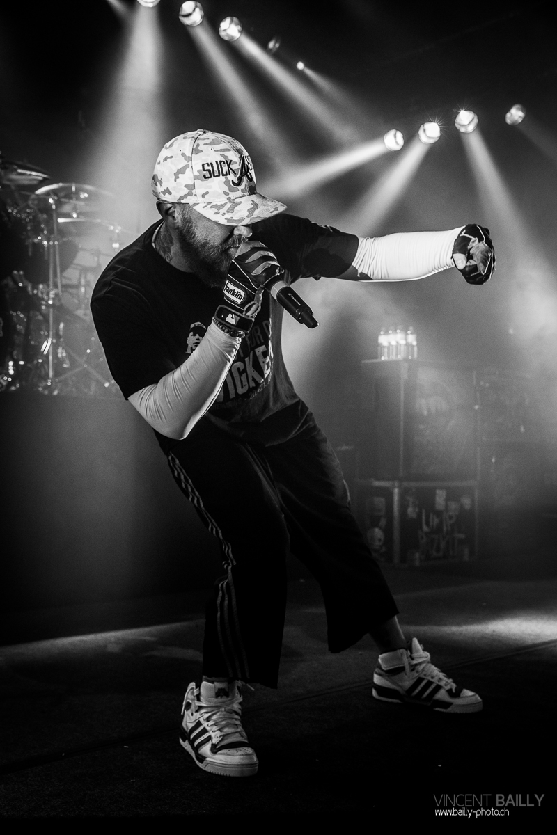 01072014_lesdocks_limpbizkit_vb-4