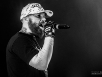 01072014_lesdocks_limpbizkit_vb-1