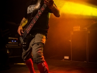 01072014_lesdocks_limpbizkit_vb-11