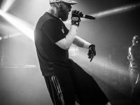 01072014_lesdocks_limpbizkit_vb-14