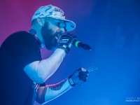 01072014_lesdocks_limpbizkit_vb-7