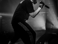 01072014_lesdocks_limpbizkit_vb-9