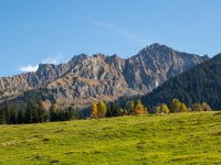myvaud_2014_vb-13